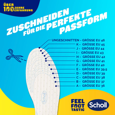 Scholl DE Insoles 35.5 - 40.5 Scholl Atmunsaktive Einlegesohlen für ganztägige Dämpfung & Komfort