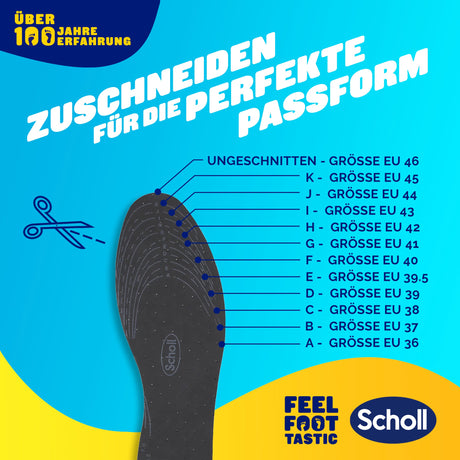 Scholl DE Insoles 35.5 - 40.5 Scholl Frische Einlegesohlen